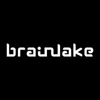 Brainlake